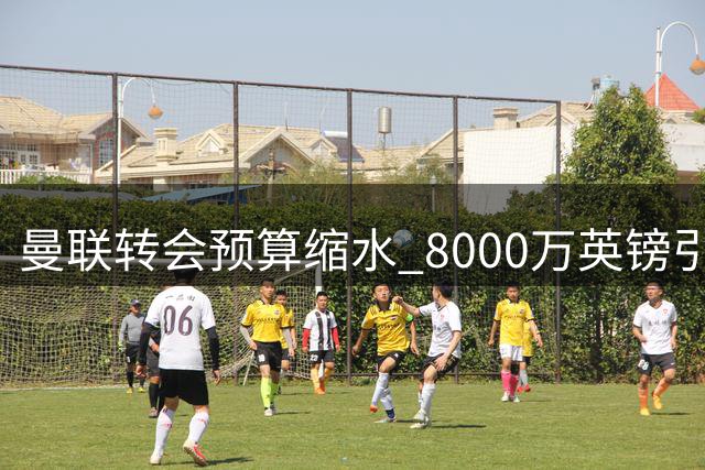 曼联转会预算缩水 8000万英镑引援计划搁浅